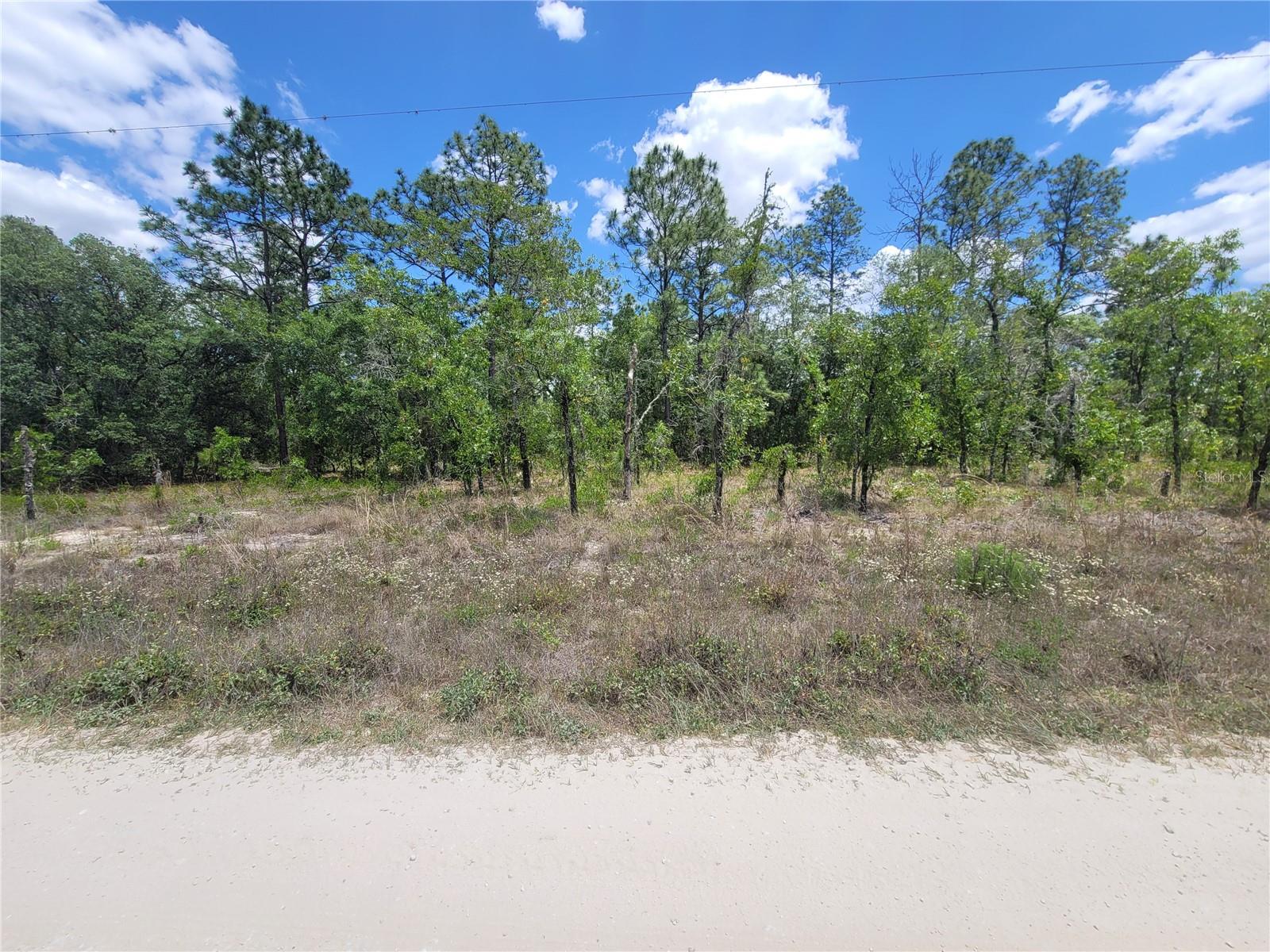 Lot 6 SW 121ST TER, DUNNELLON, FL, 34432
