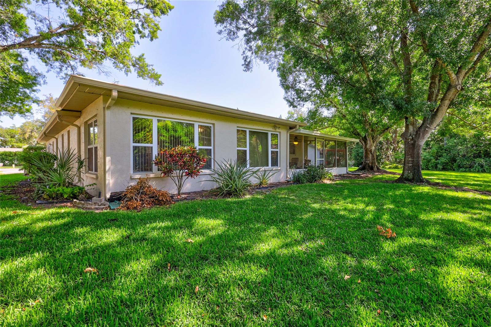 2875 LOMOND DR, PALM HARBOR, FL, 34684