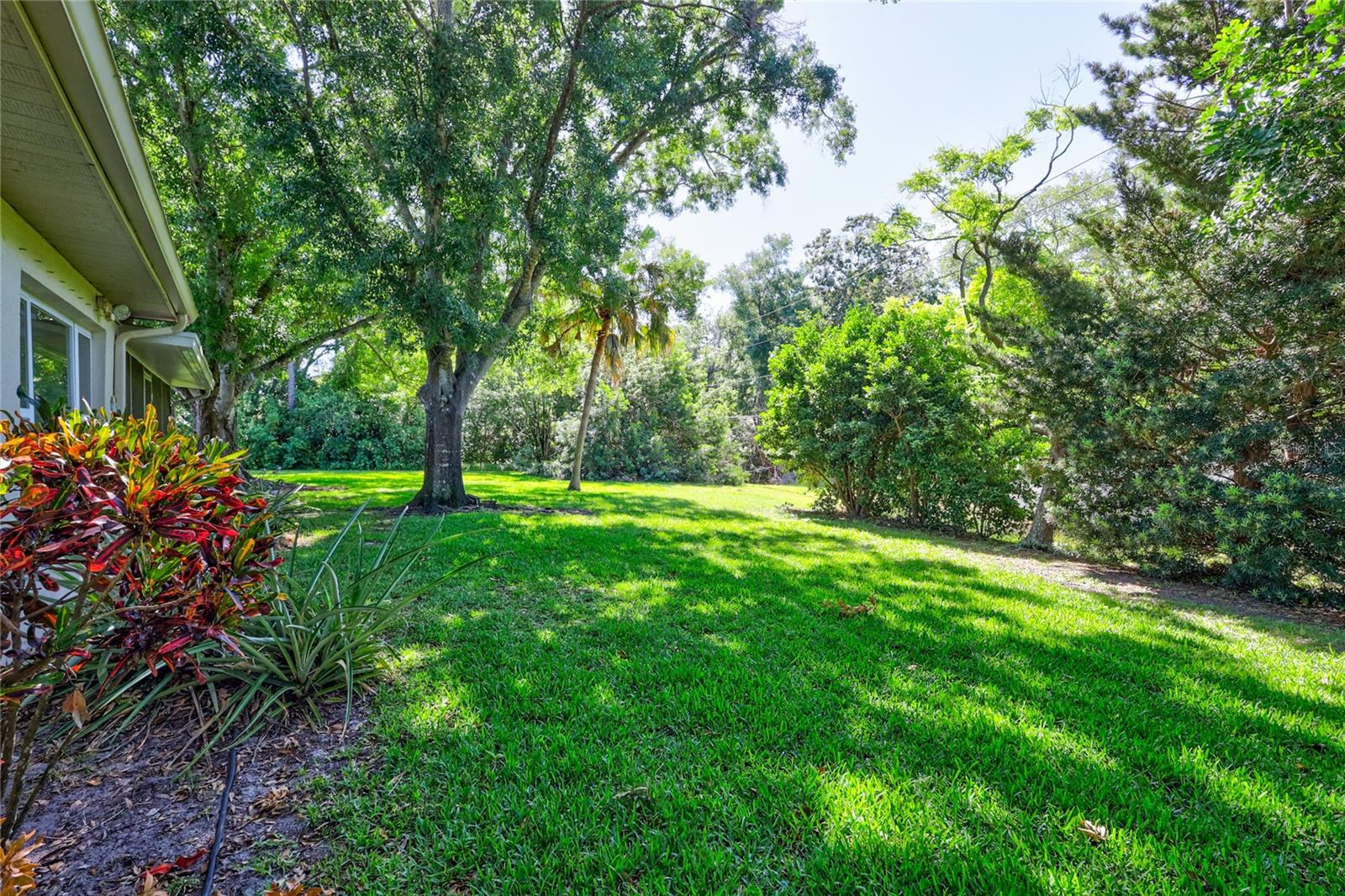 2875 LOMOND DR, PALM HARBOR, FL, 34684