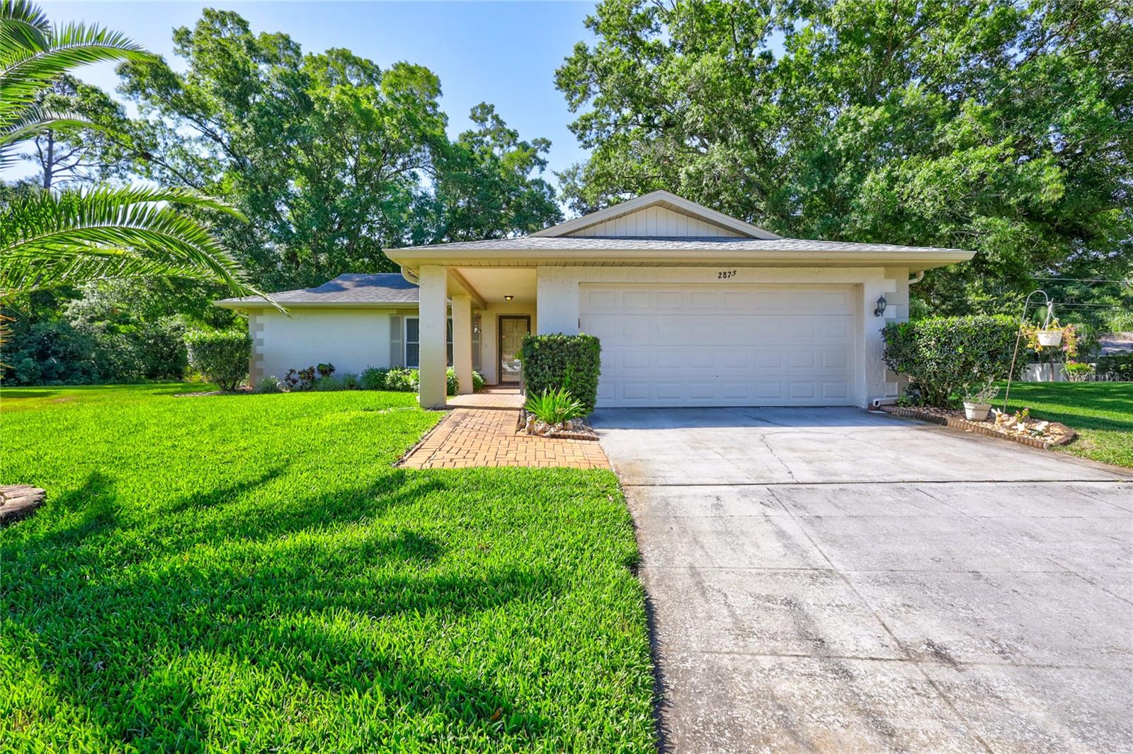 2875 LOMOND DR, PALM HARBOR, FL, 34684