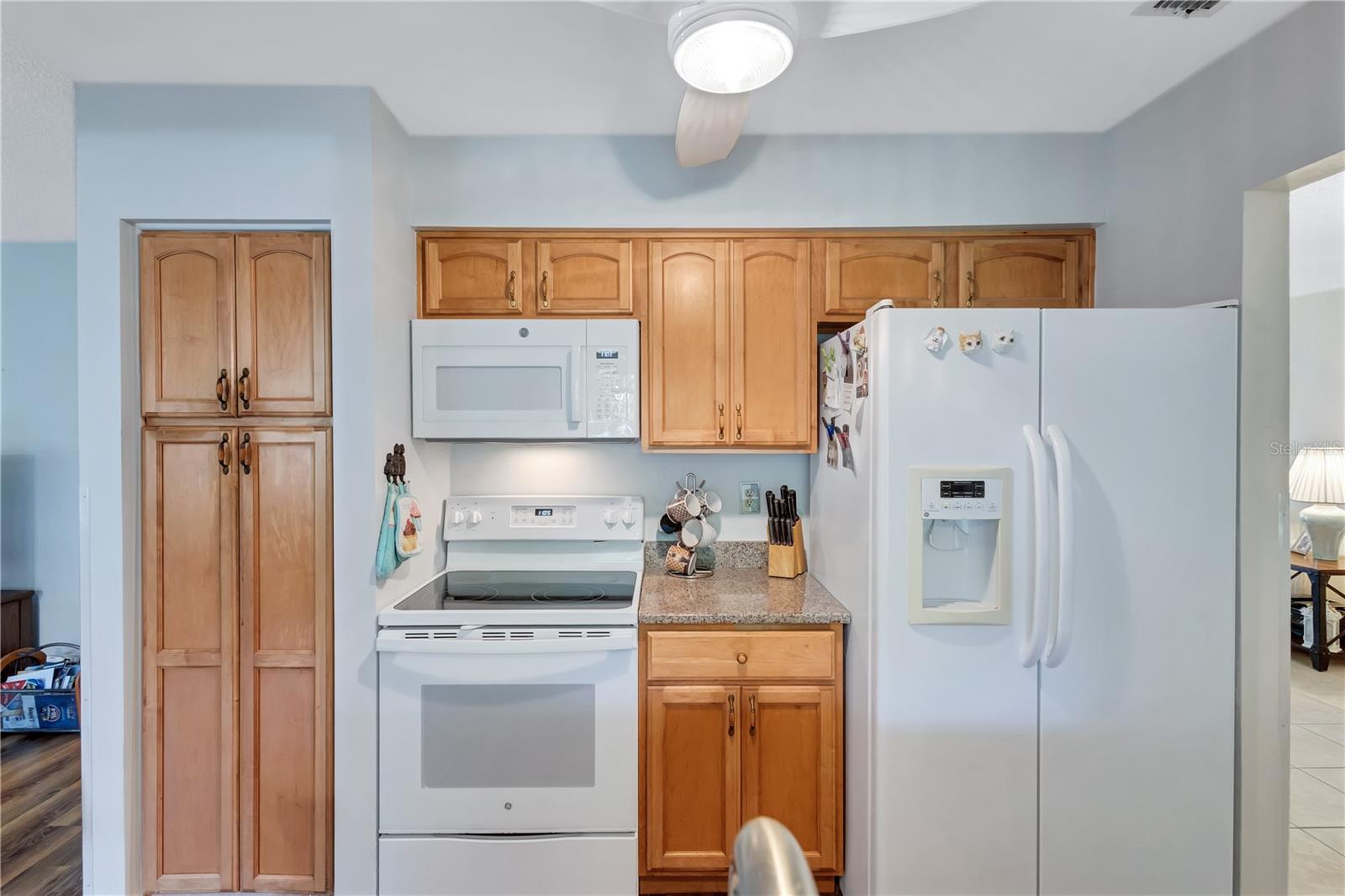 2875 LOMOND DR, PALM HARBOR, FL, 34684