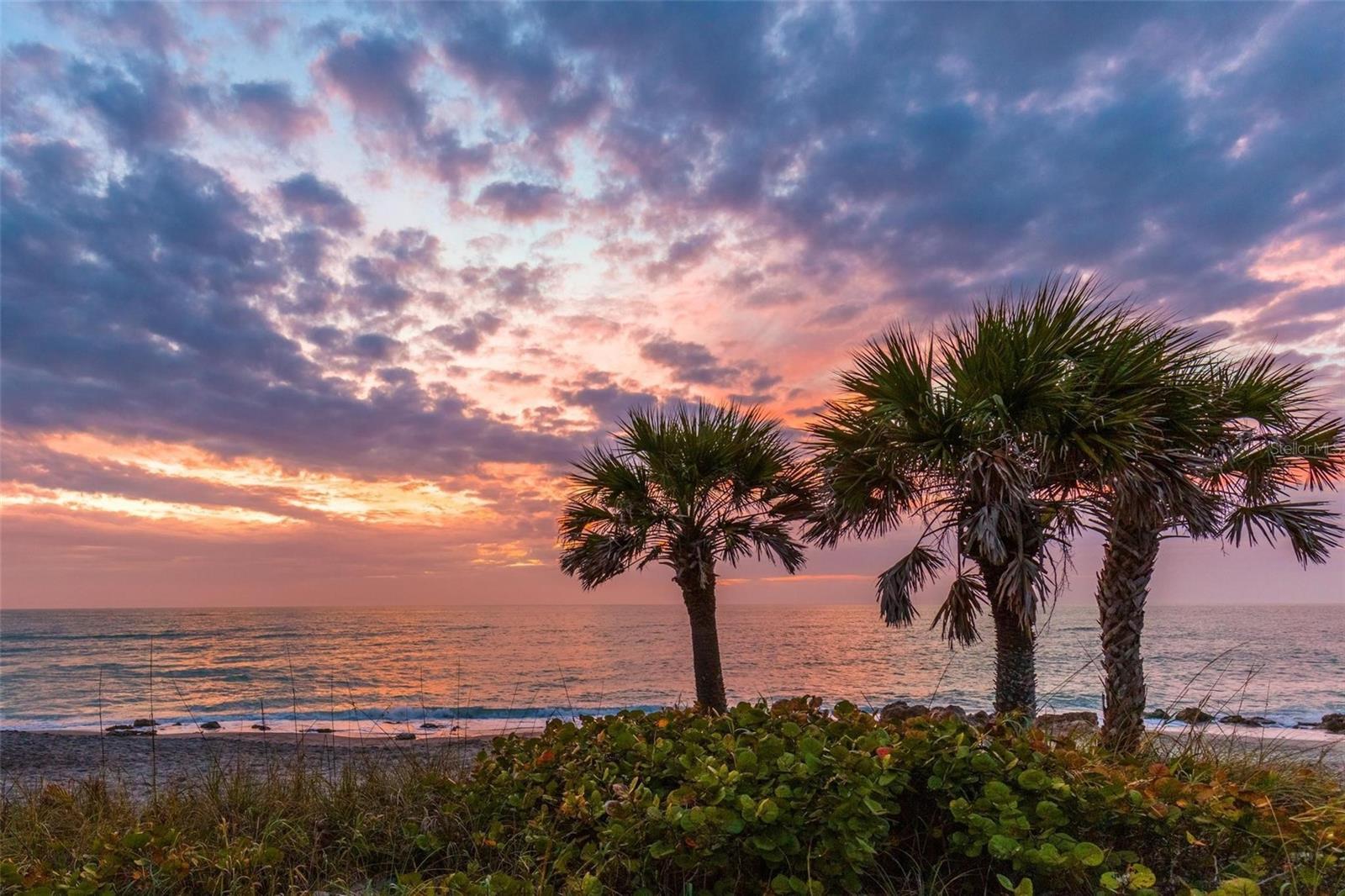 11571 OKALOOSA DR, VENICE, FL, 34293