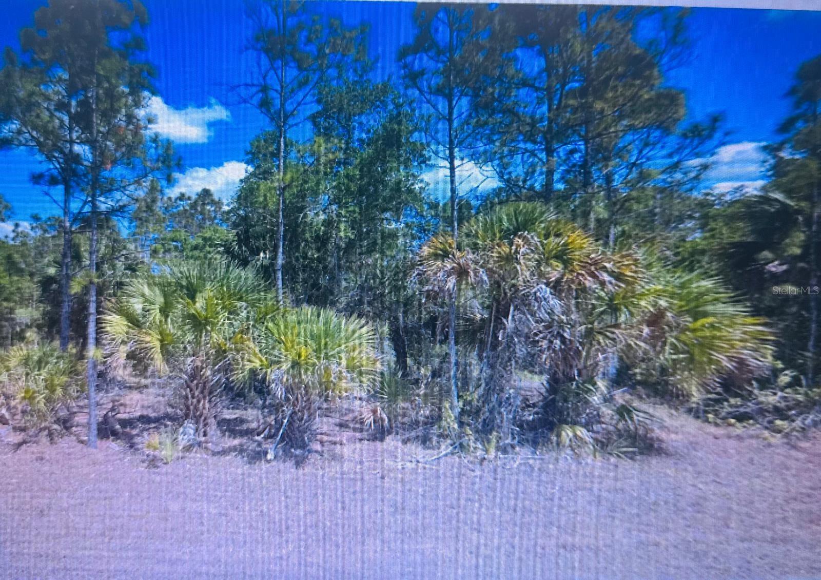 3290 HAMPTON ST, PORT CHARLOTTE, FL, 33948