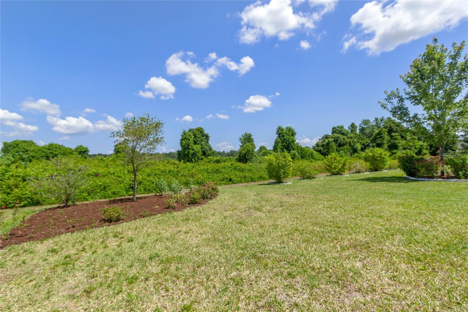 18319 GREAT BLUE HERON DR, GROVELAND, FL, 34736
