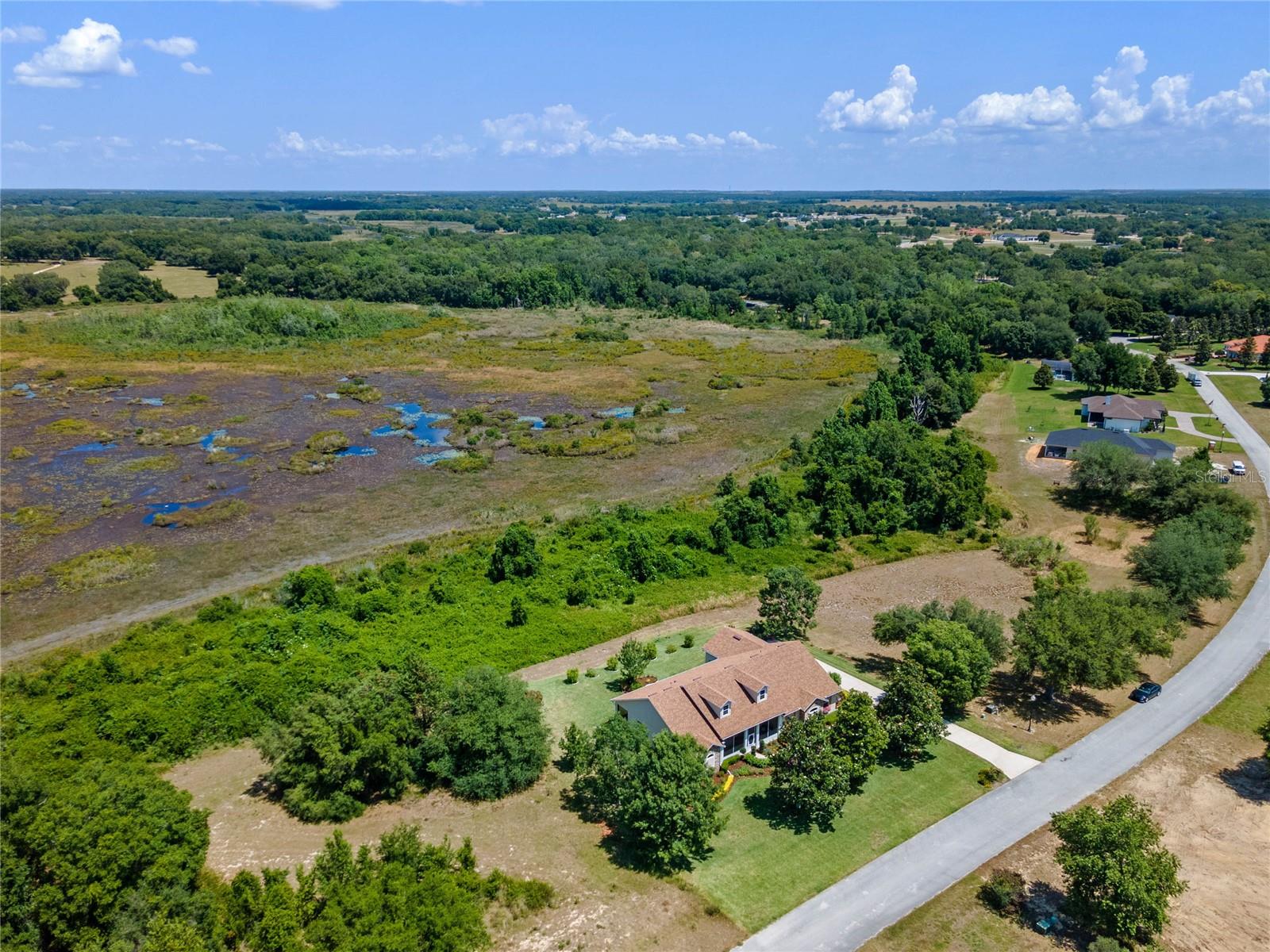18319 GREAT BLUE HERON DR, GROVELAND, FL, 34736