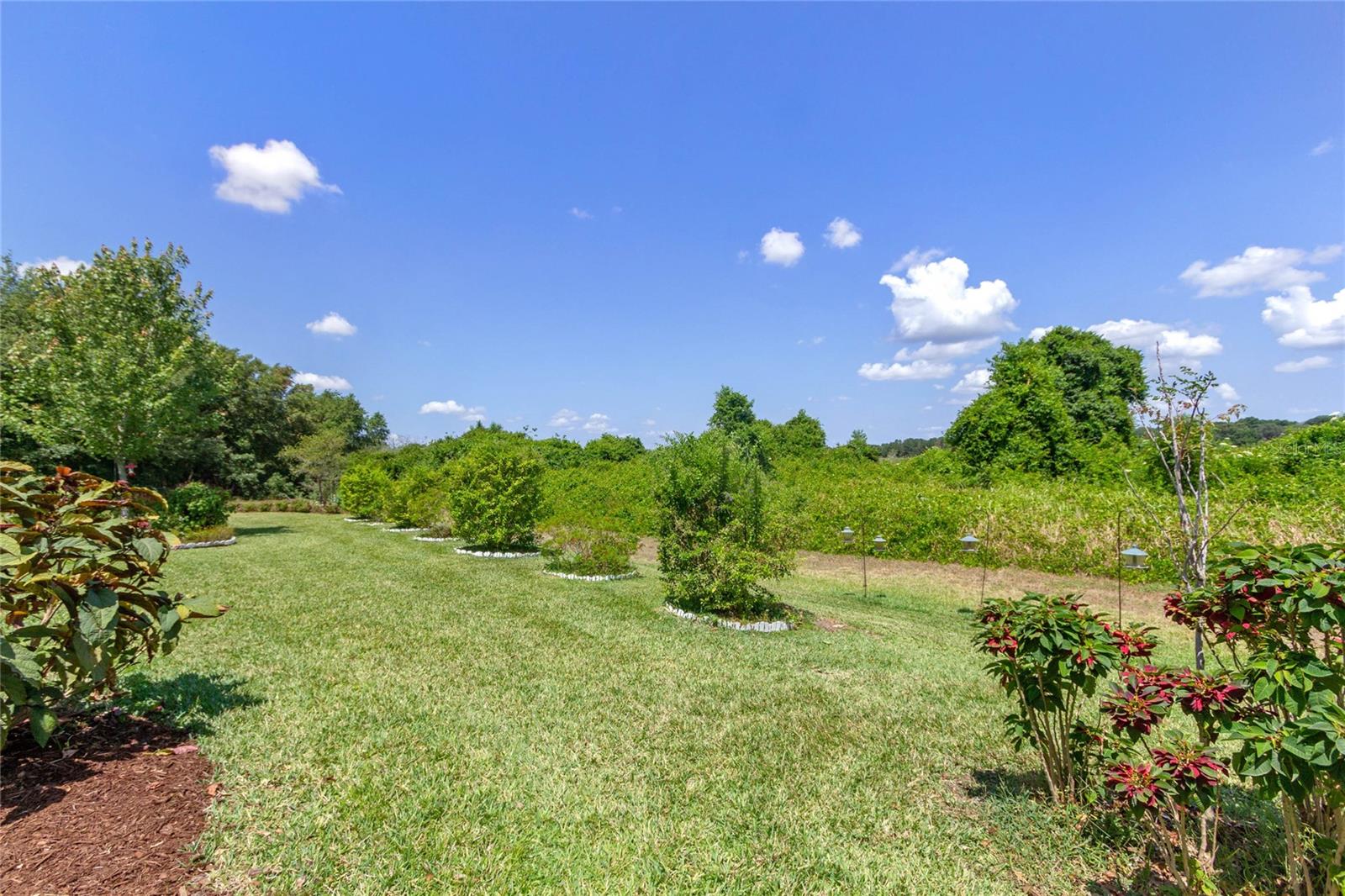 18319 GREAT BLUE HERON DR, GROVELAND, FL, 34736