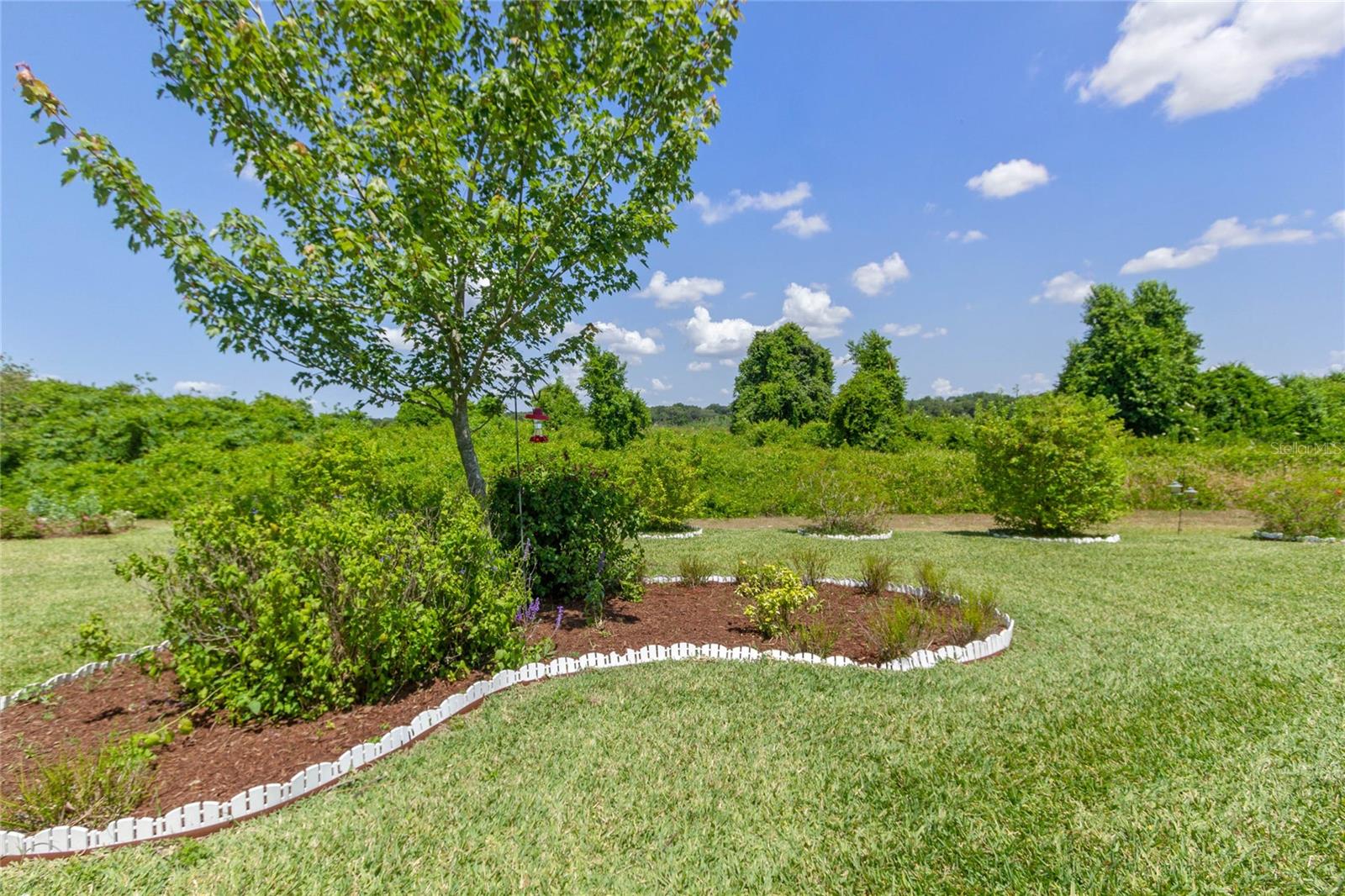 18319 GREAT BLUE HERON DR, GROVELAND, FL, 34736