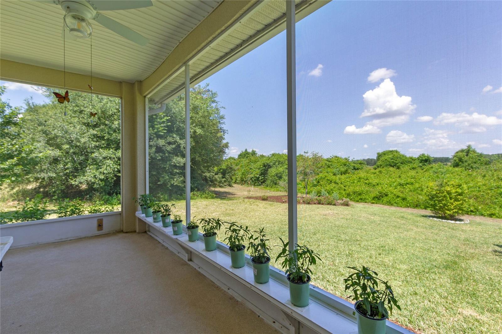 18319 GREAT BLUE HERON DR, GROVELAND, FL, 34736
