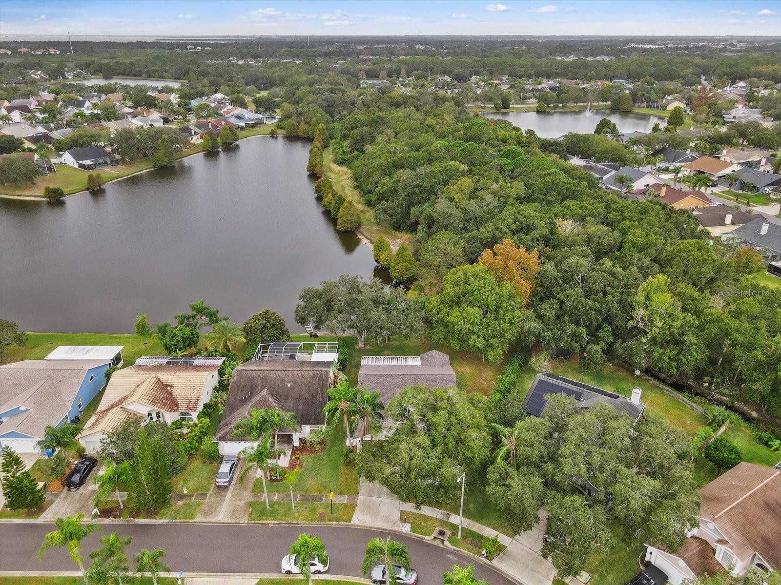 11647 FOX CREEK DR, TAMPA, FL, 33635