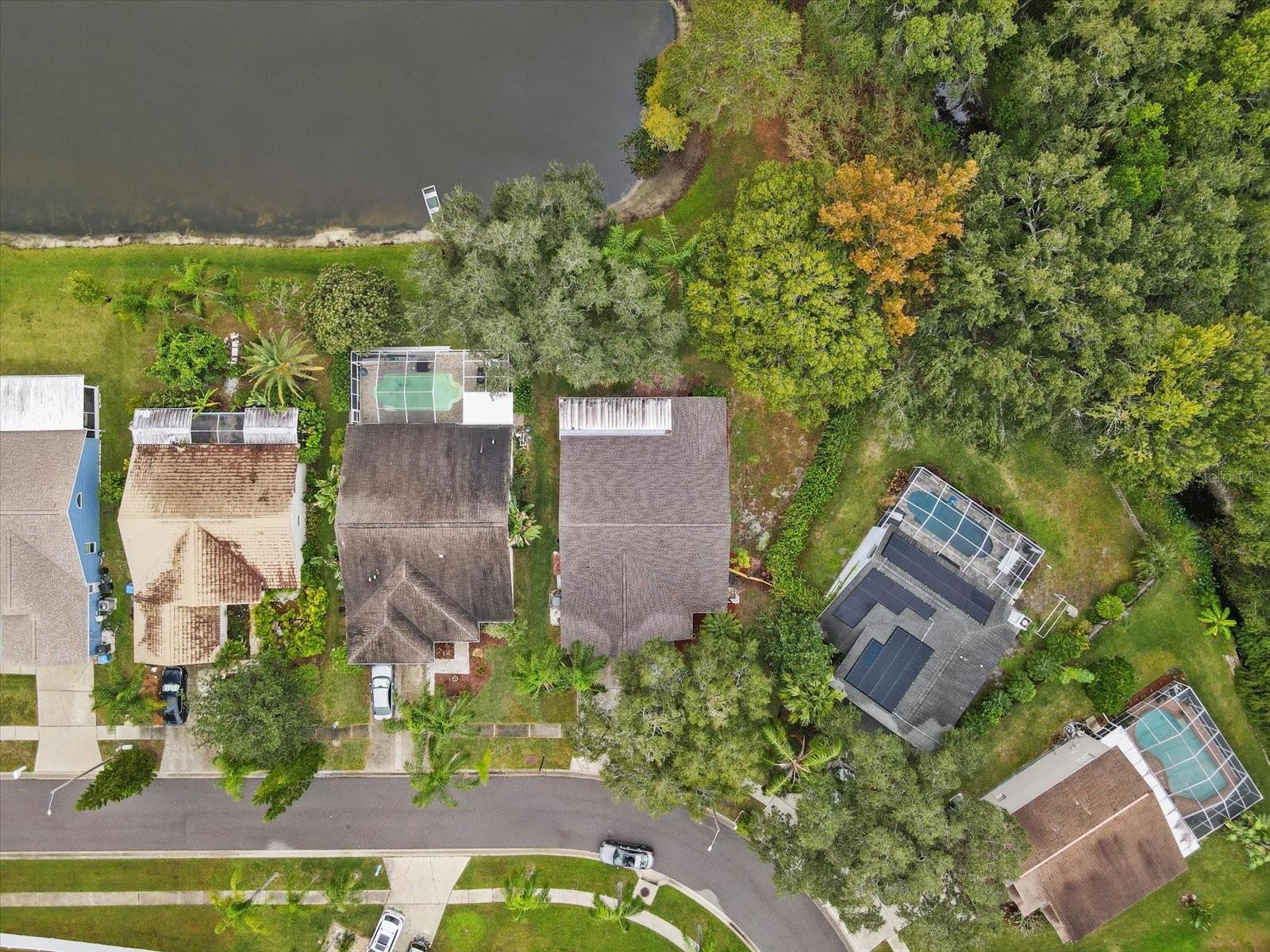 11647 FOX CREEK DR, TAMPA, FL, 33635