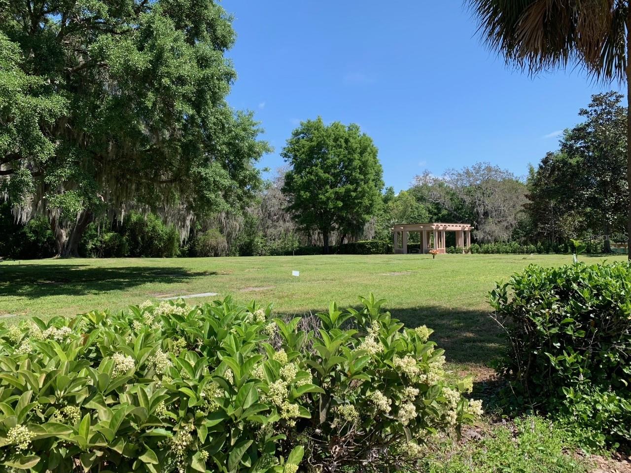 MORTON JONES RD, GOTHA, FL, 34734