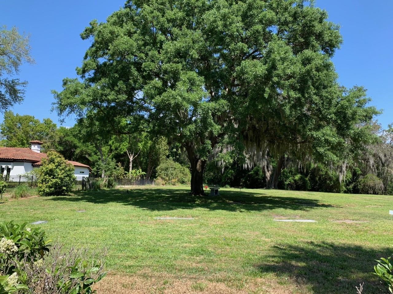 MORTON JONES RD, GOTHA, FL, 34734