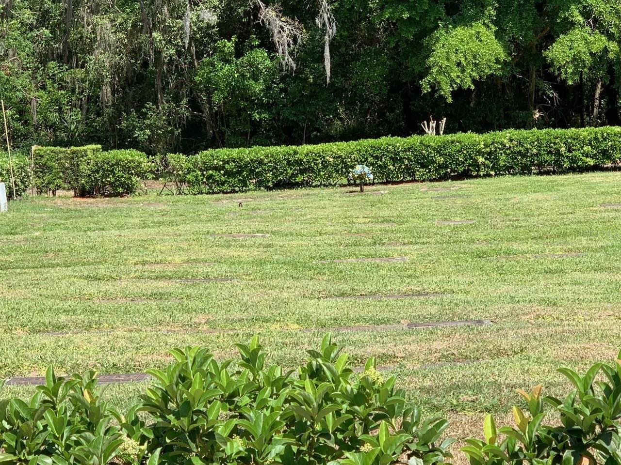 MORTON JONES RD, GOTHA, FL, 34734