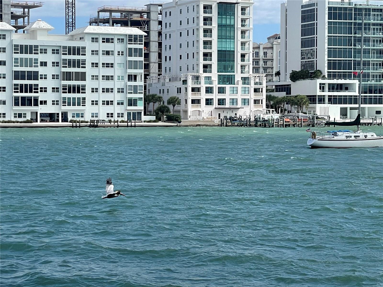 828 S TUTTLE AVE, SARASOTA, FL, 34237