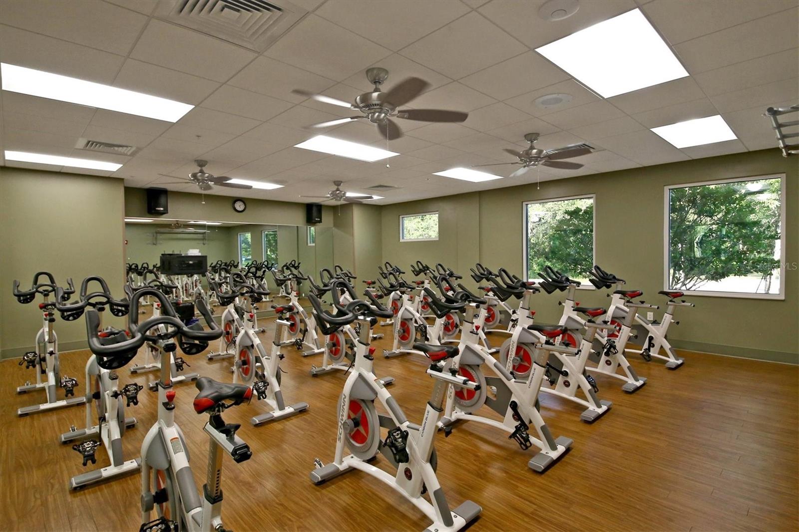 13906 SIENA LOOP, LAKEWOOD RANCH, FL, 34202