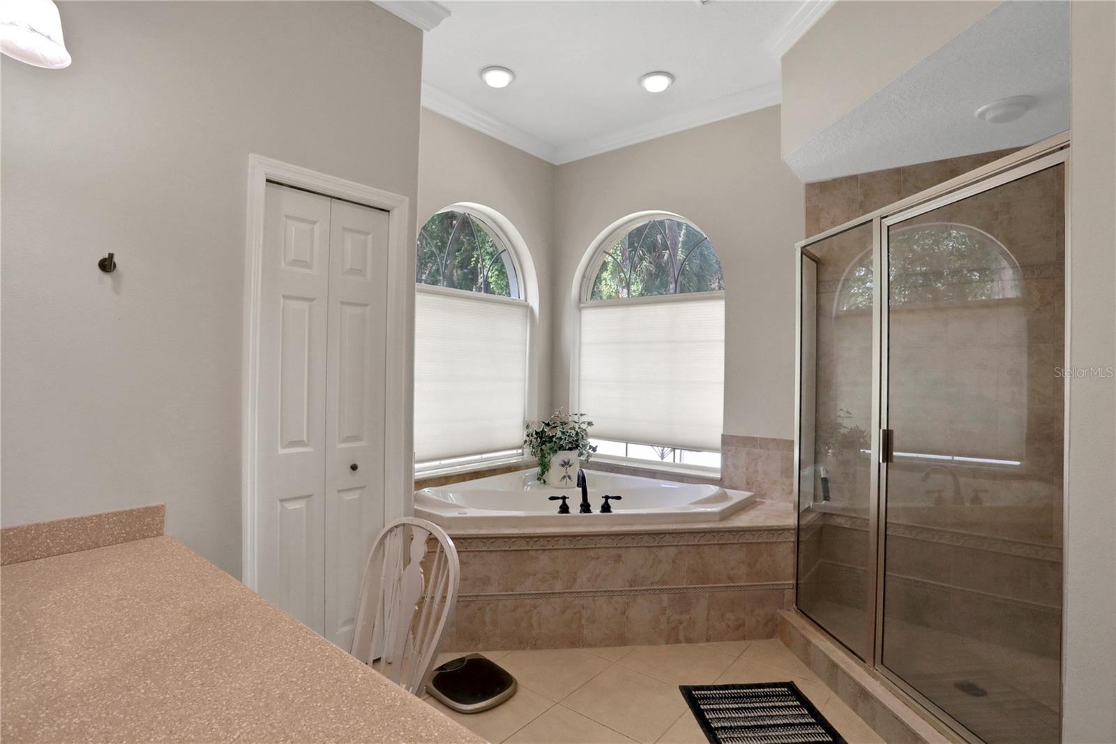 8608 POINSETTIA DR, TEMPLE TERRACE, FL, 33637
