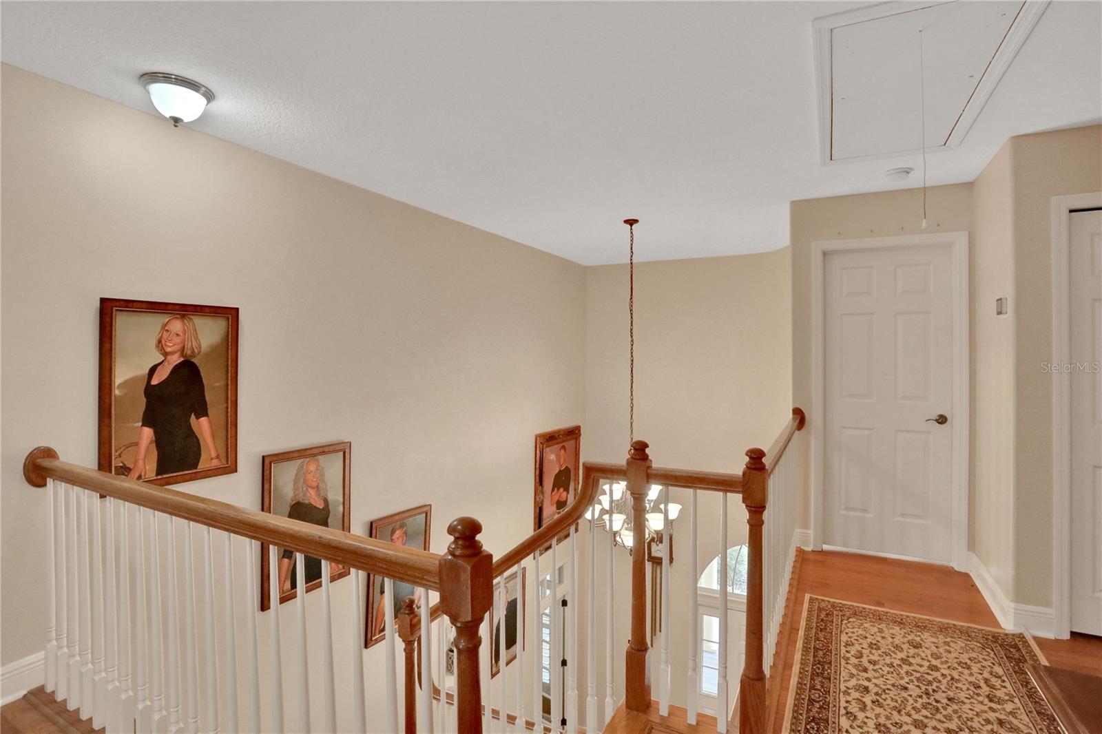 8608 POINSETTIA DR, TEMPLE TERRACE, FL, 33637