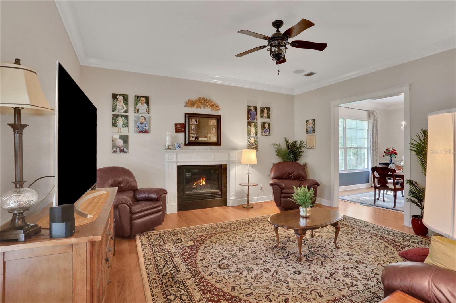 8608 POINSETTIA DR, TEMPLE TERRACE, FL, 33637