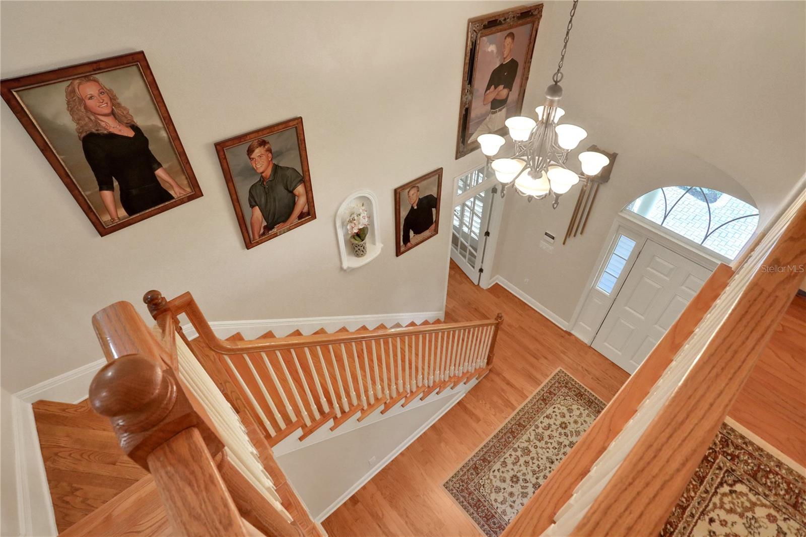 8608 POINSETTIA DR, TEMPLE TERRACE, FL, 33637