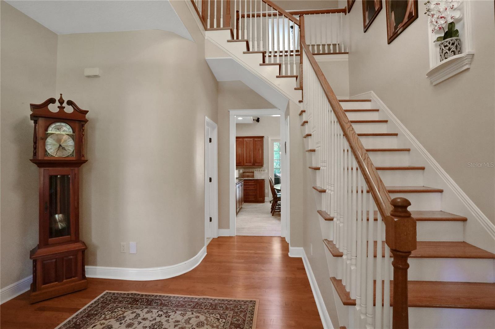 8608 POINSETTIA DR, TEMPLE TERRACE, FL, 33637