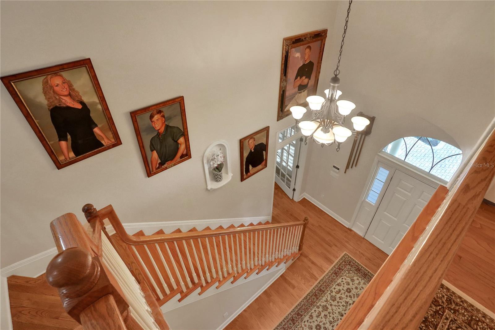 8608 POINSETTIA DR, TEMPLE TERRACE, FL, 33637