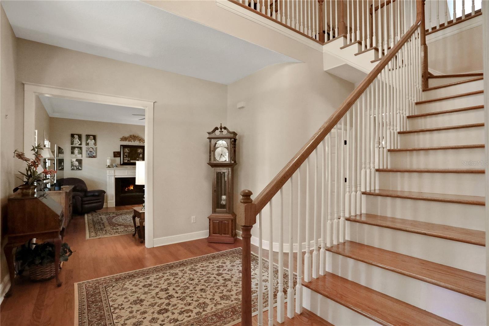 8608 POINSETTIA DR, TEMPLE TERRACE, FL, 33637