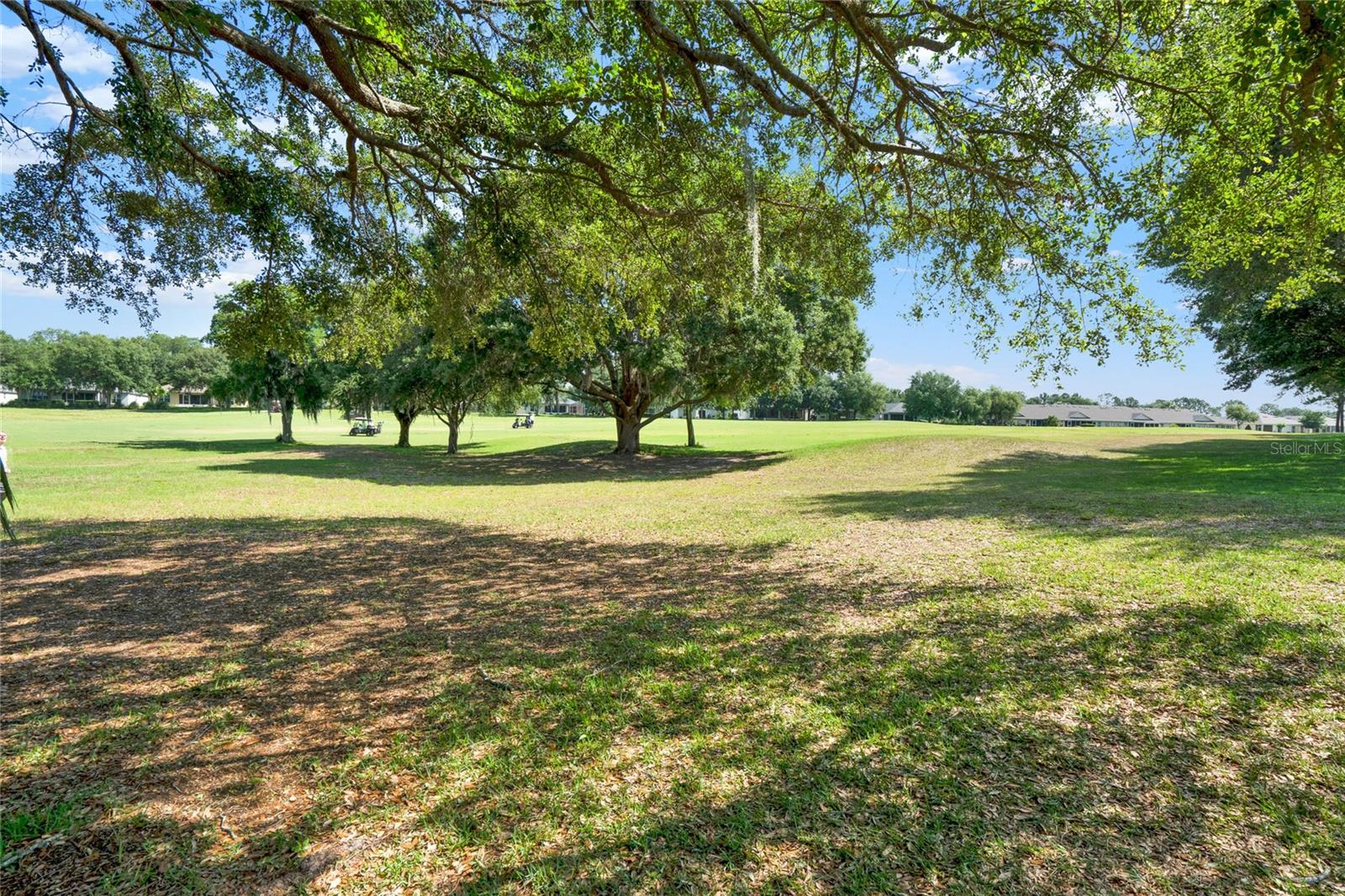 4223 ARLINGTON RIDGE BLVD, LEESBURG, FL, 34748