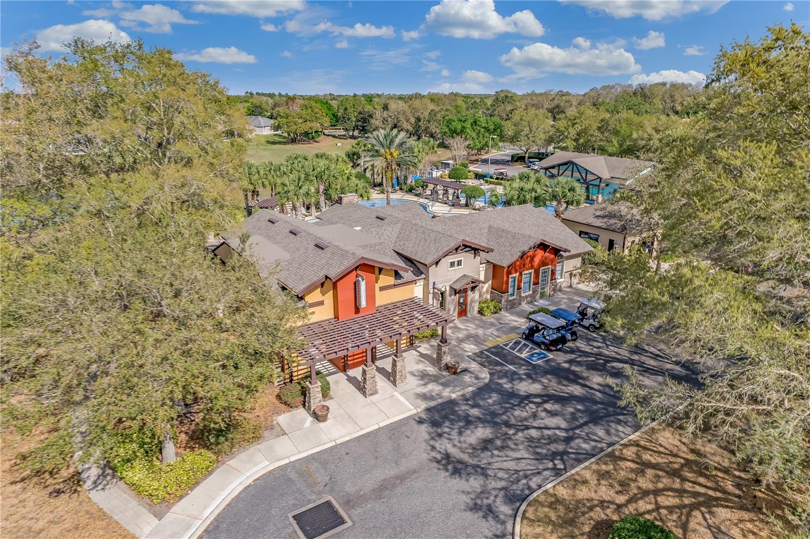 4223 ARLINGTON RIDGE BLVD, LEESBURG, FL, 34748