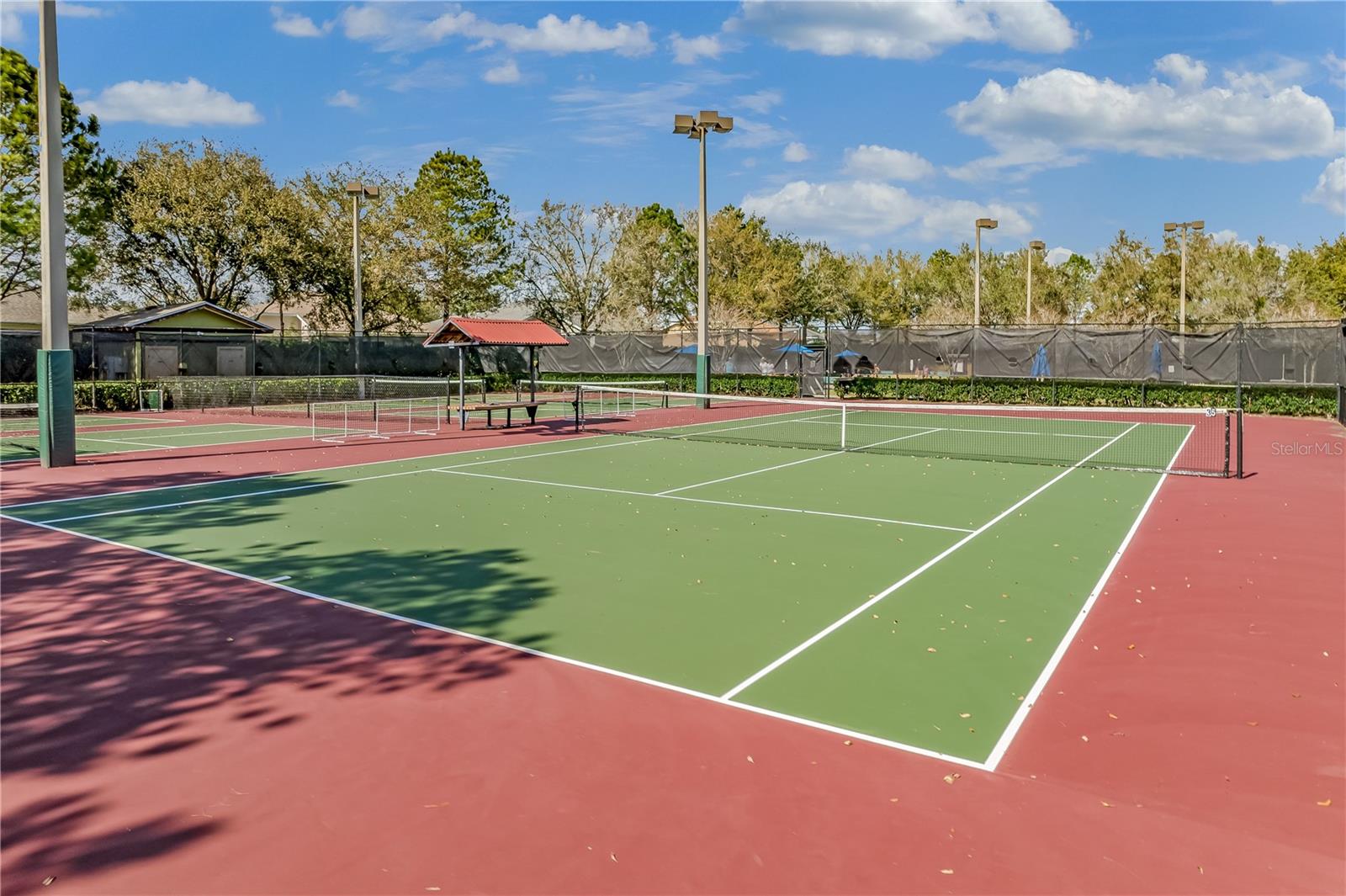 4223 ARLINGTON RIDGE BLVD, LEESBURG, FL, 34748