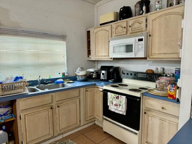 6330 SE 175TH CT, MORRISTON, FL, 32668