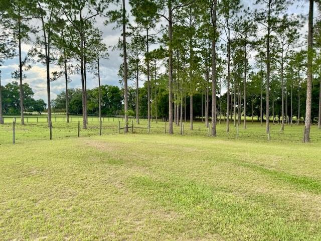 6330 SE 175TH CT, MORRISTON, FL, 32668