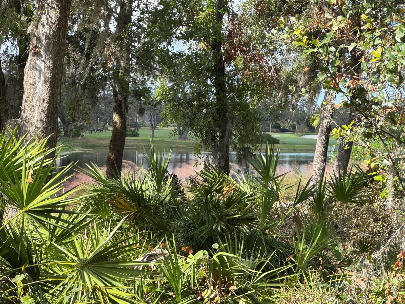 13721 PALAZZO TER, BRADENTON, FL, 34211