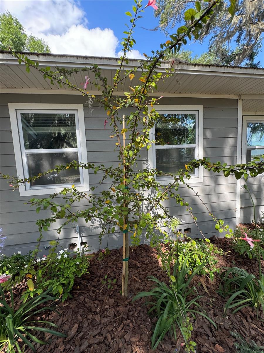 4790 ANDERSON RD, ORLANDO, FL, 32812