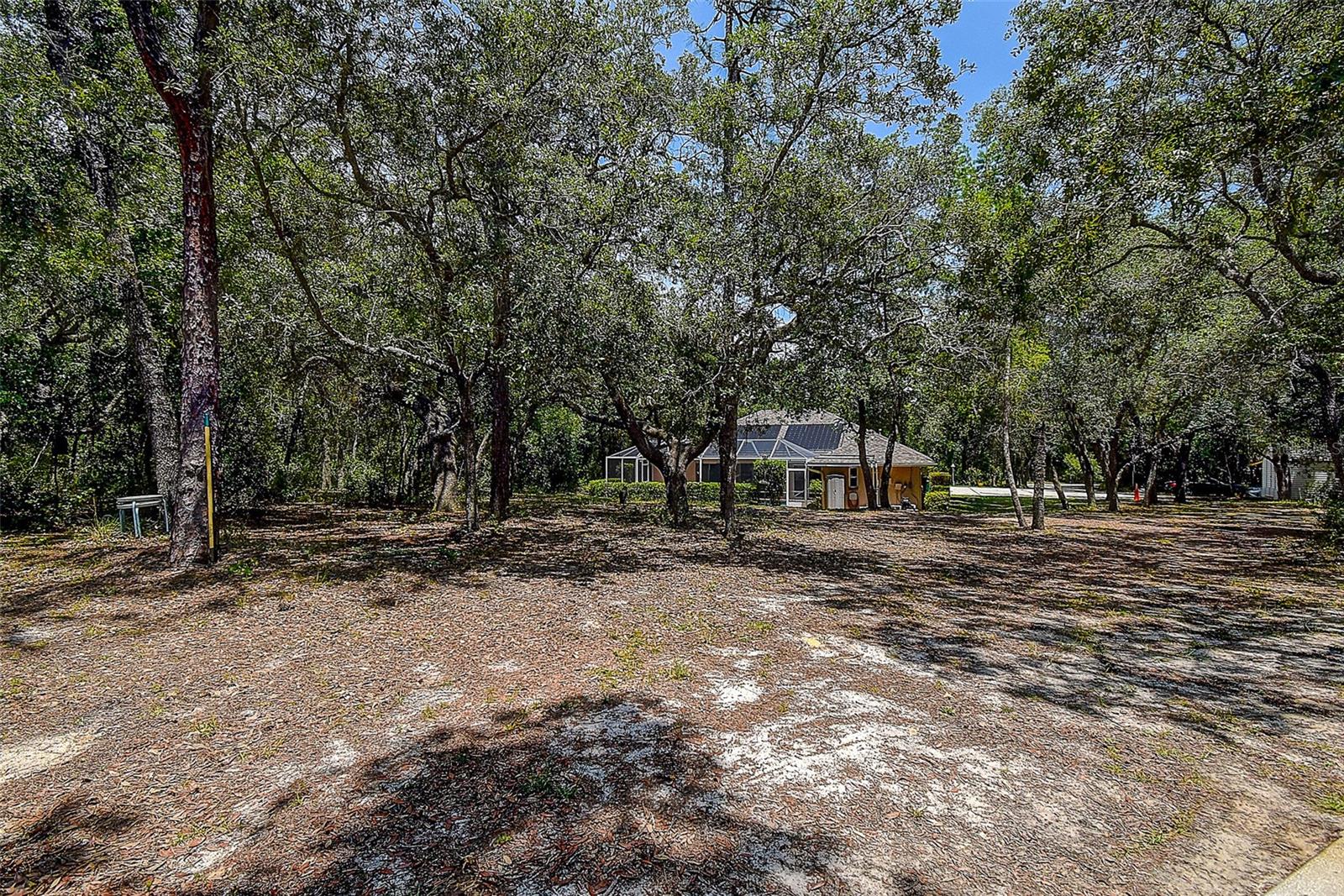 340 E SAVOY ST, LECANTO, FL, 34461