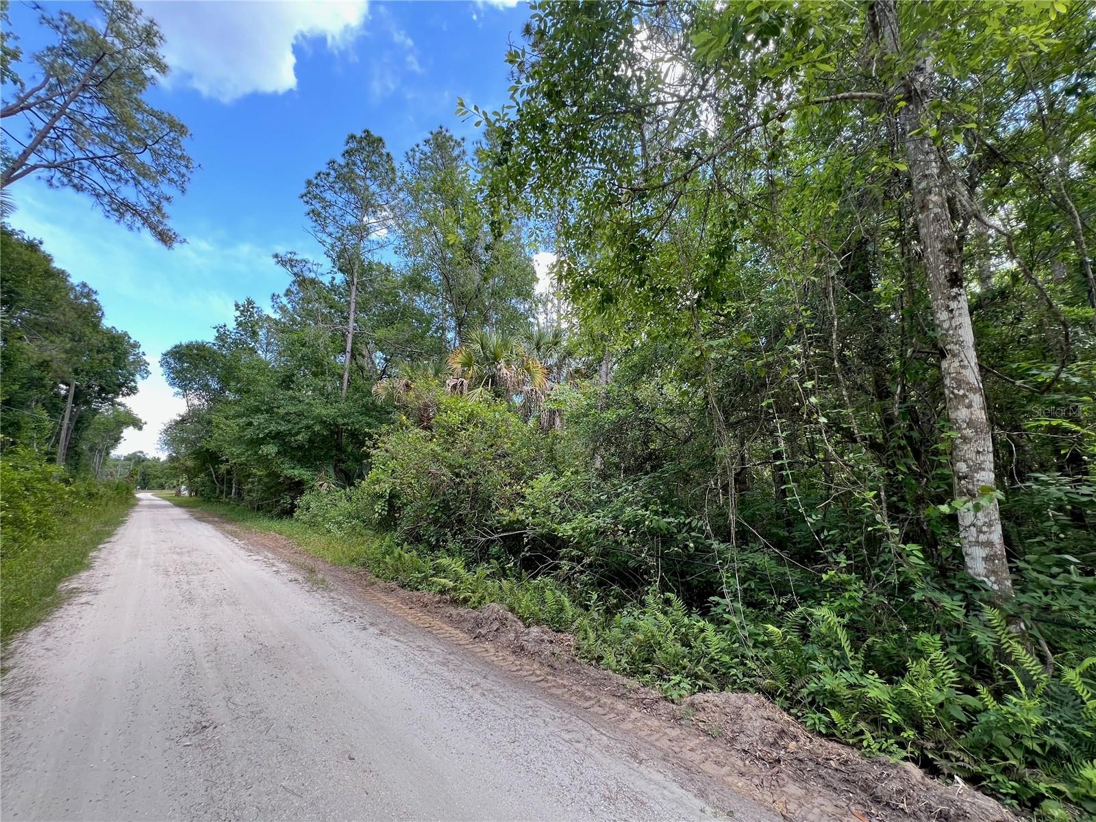 AMELIA TRL, KISSIMMEE, FL, 34747
