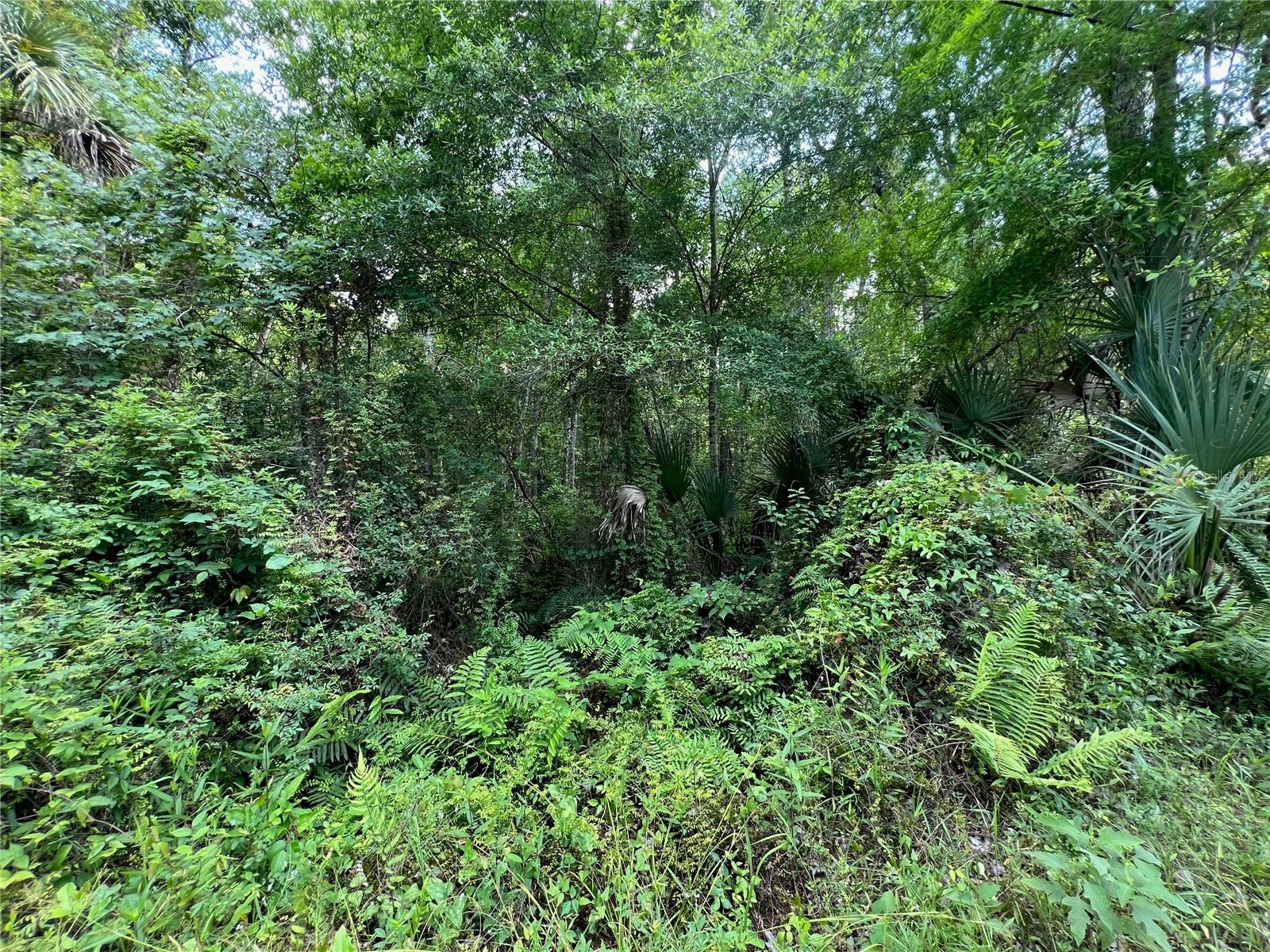 AMELIA TRL, KISSIMMEE, FL, 34747