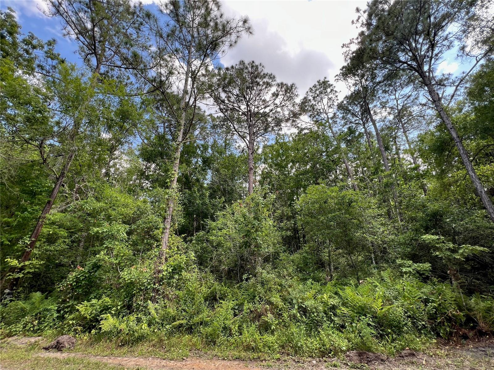 AMELIA TRL, KISSIMMEE, FL, 34747