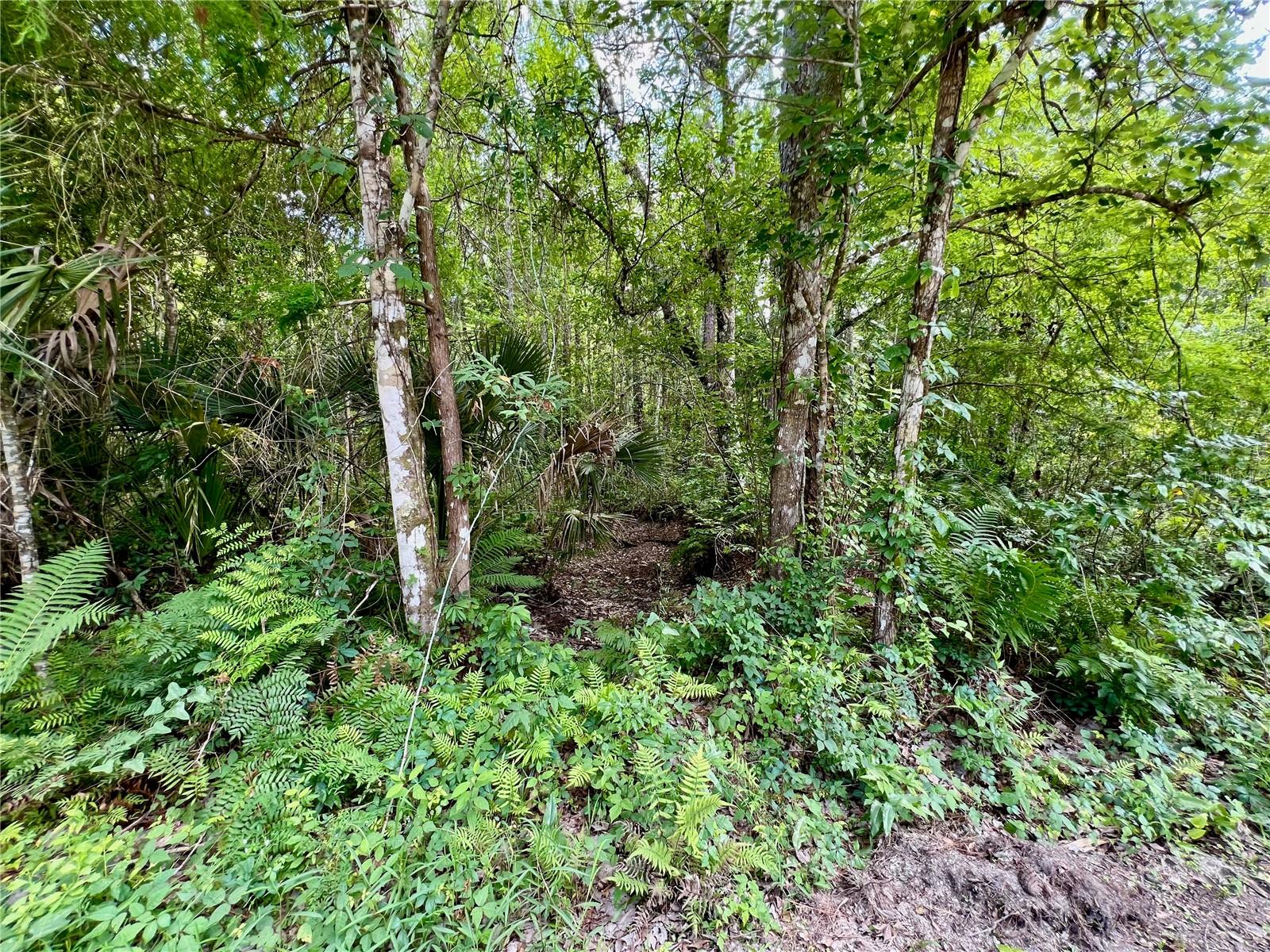 AMELIA TRL, KISSIMMEE, FL, 34747