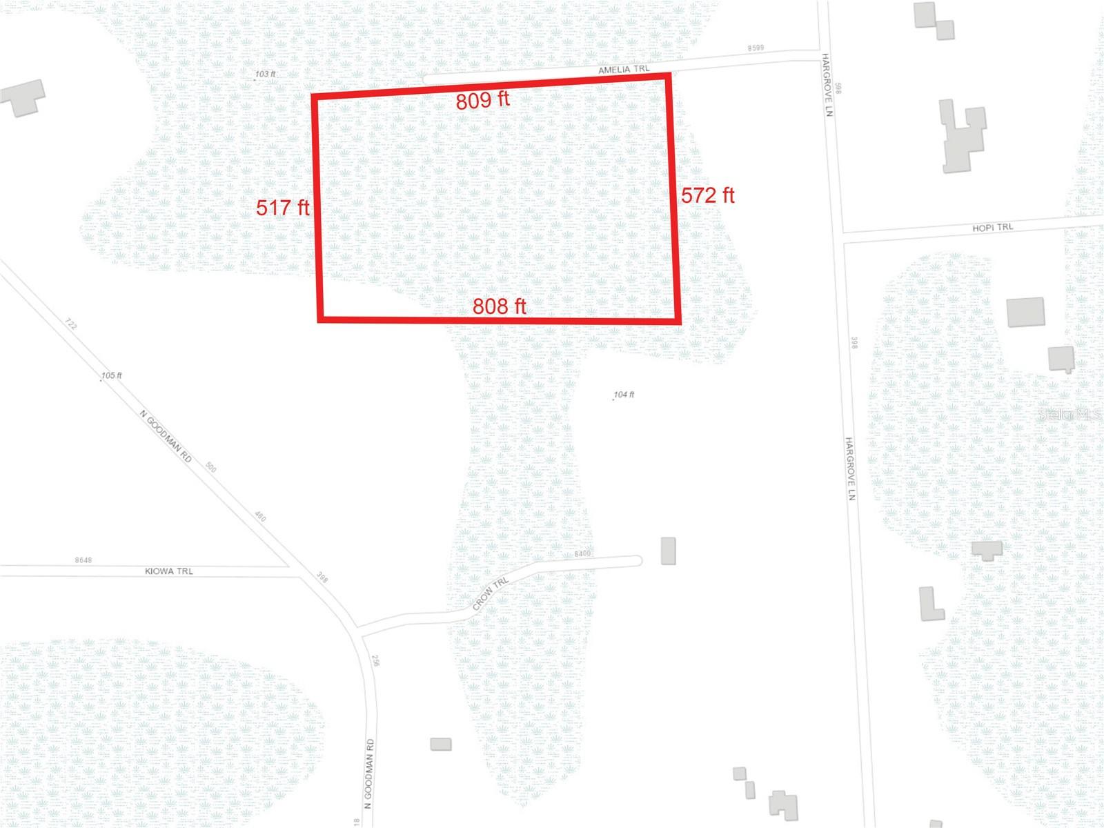 AMELIA TRL, KISSIMMEE, FL, 34747
