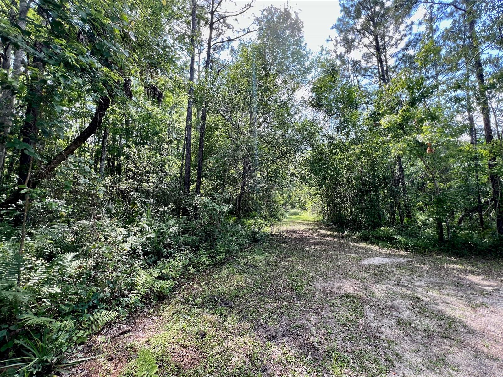 AMELIA TRL, KISSIMMEE, FL, 34747