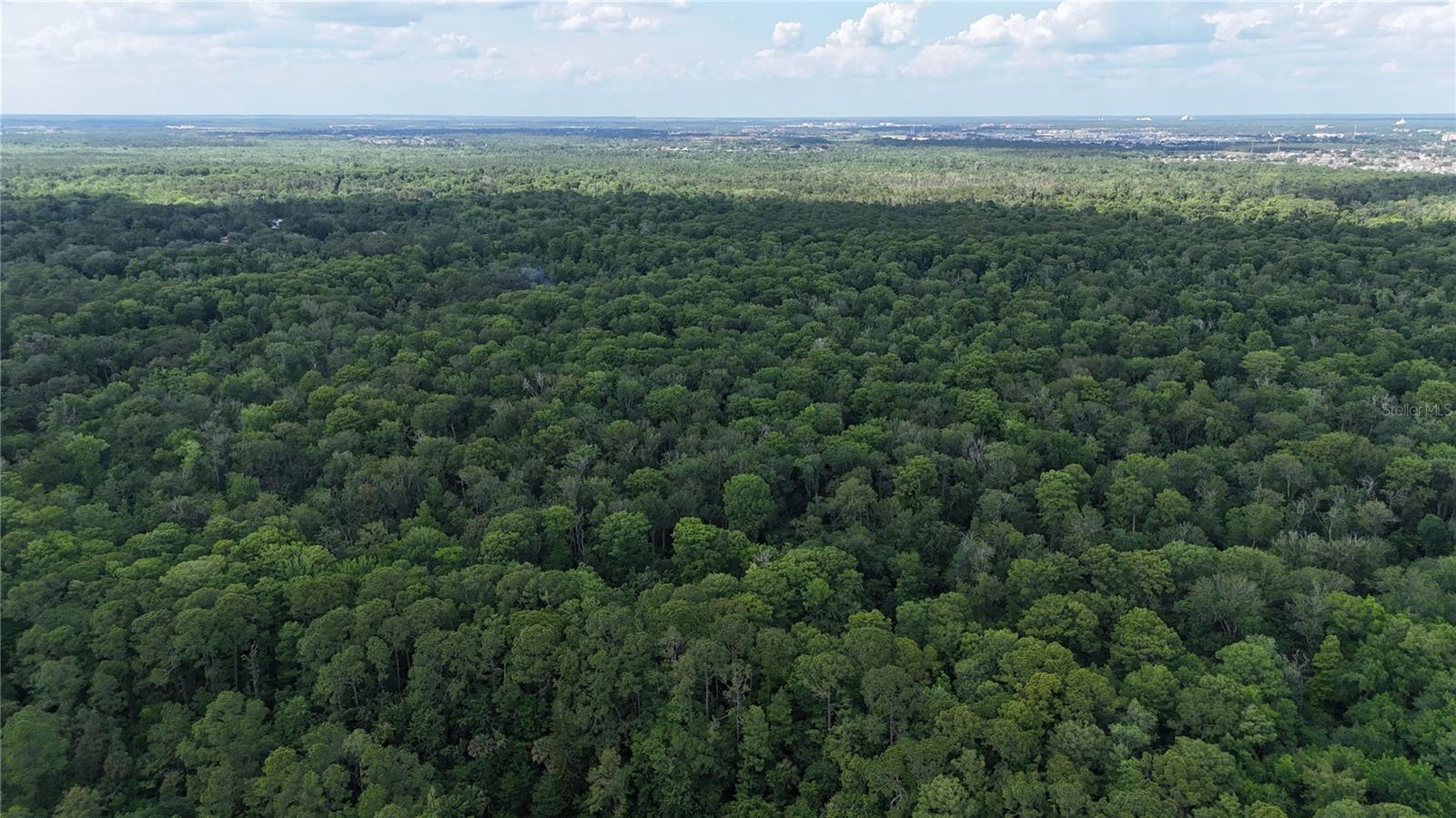 AMELIA TRL, KISSIMMEE, FL, 34747