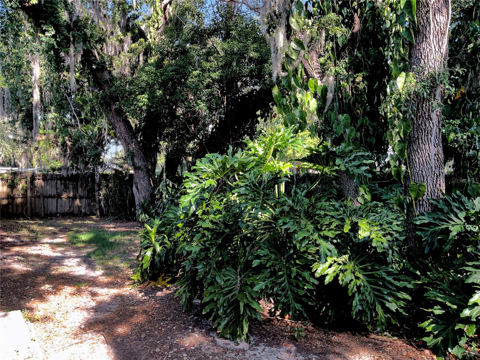 2316 KENWICK DR, VALRICO, FL, 33596