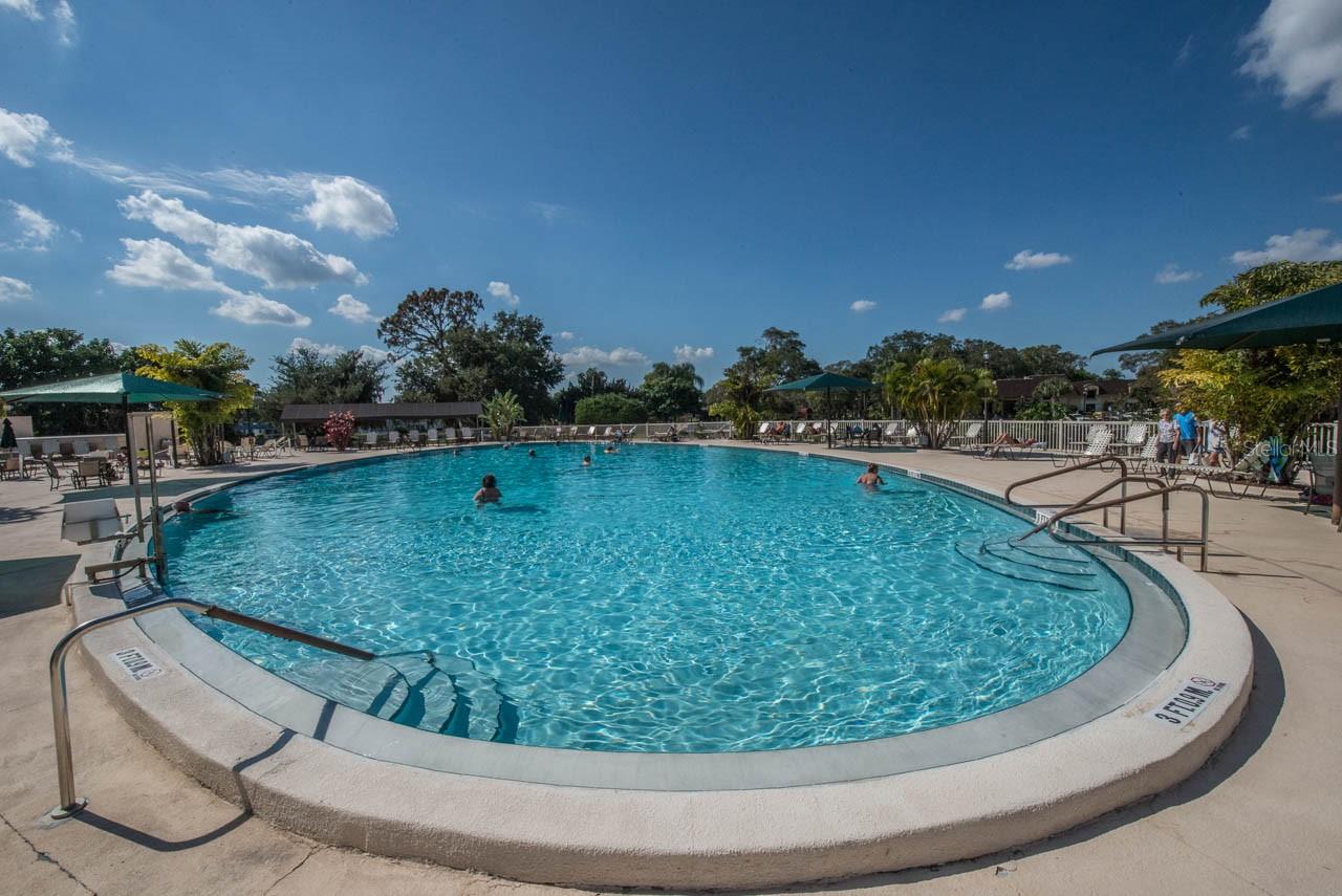 2620 LOCKSLEY ST #261, SUN CITY CENTER, FL, 33573