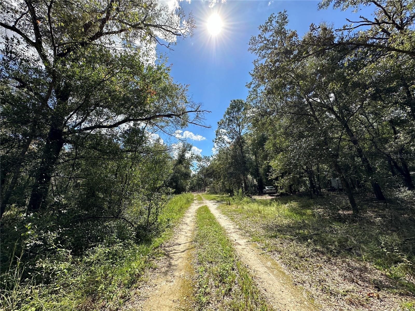 000 NE 156TH AVE, WILLISTON, FL, 32696