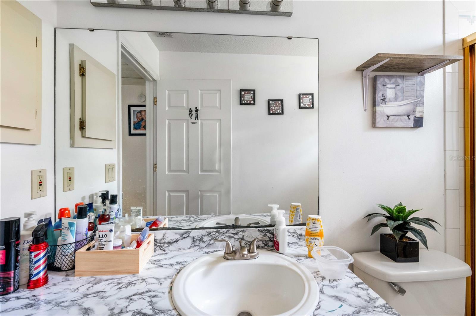 3909 SW 161ST LOOP, OCALA, FL, 34473