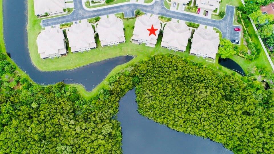 7929 TASSO CT, SEMINOLE, FL, 33777