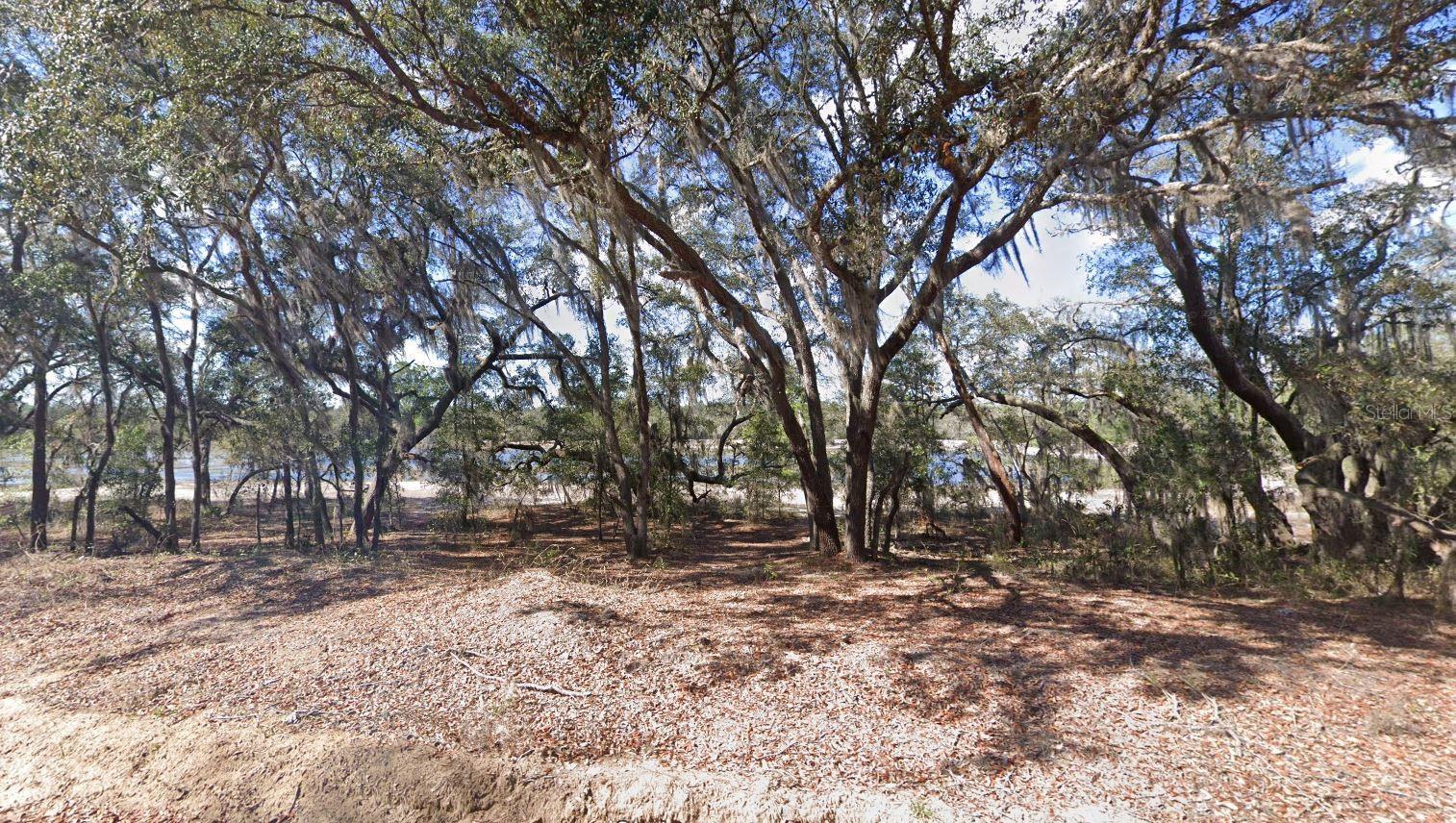 123 LAKE LUCY CRES, INTERLACHEN, FL, 32148