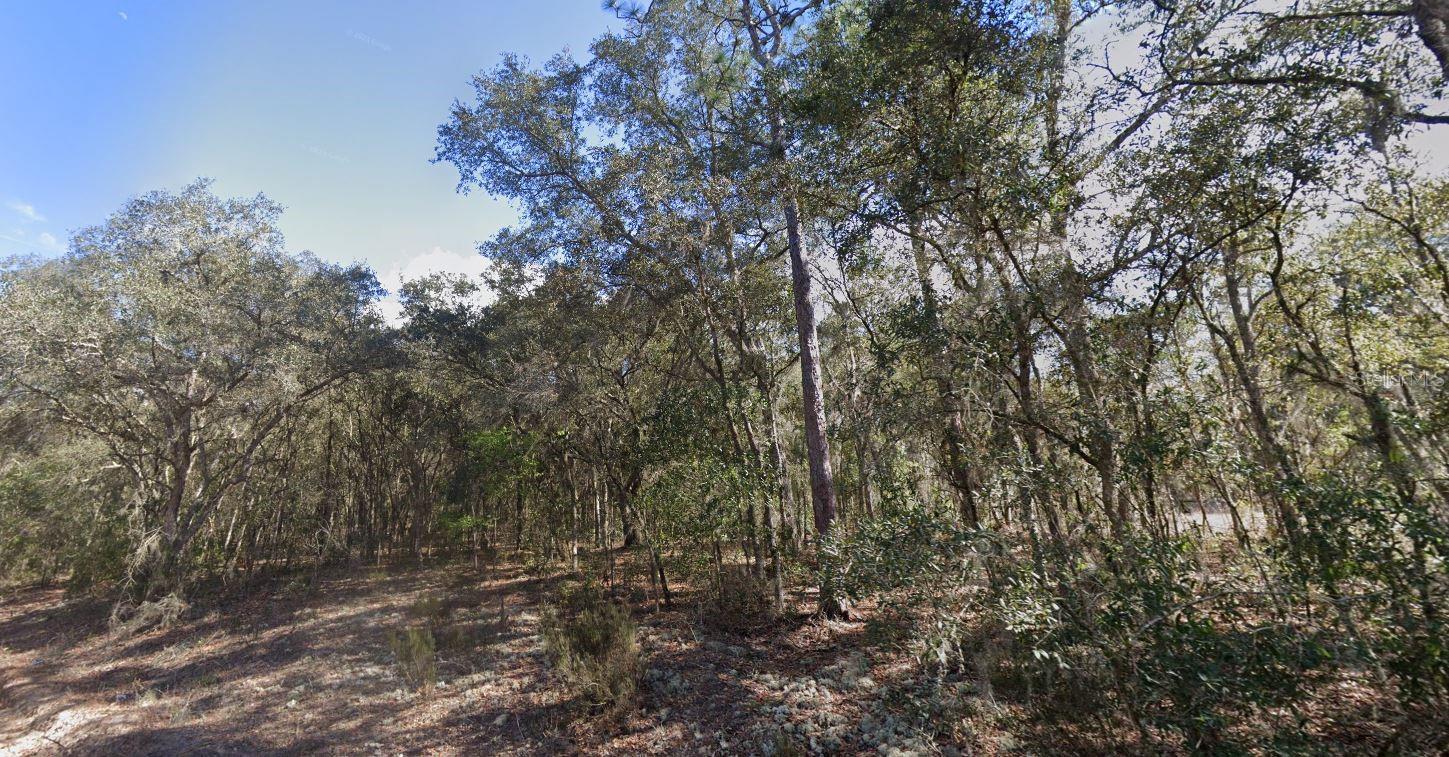 123 LAKE LUCY CRES, INTERLACHEN, FL, 32148
