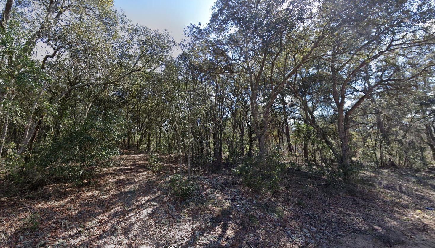 123 LAKE LUCY CRES, INTERLACHEN, FL, 32148