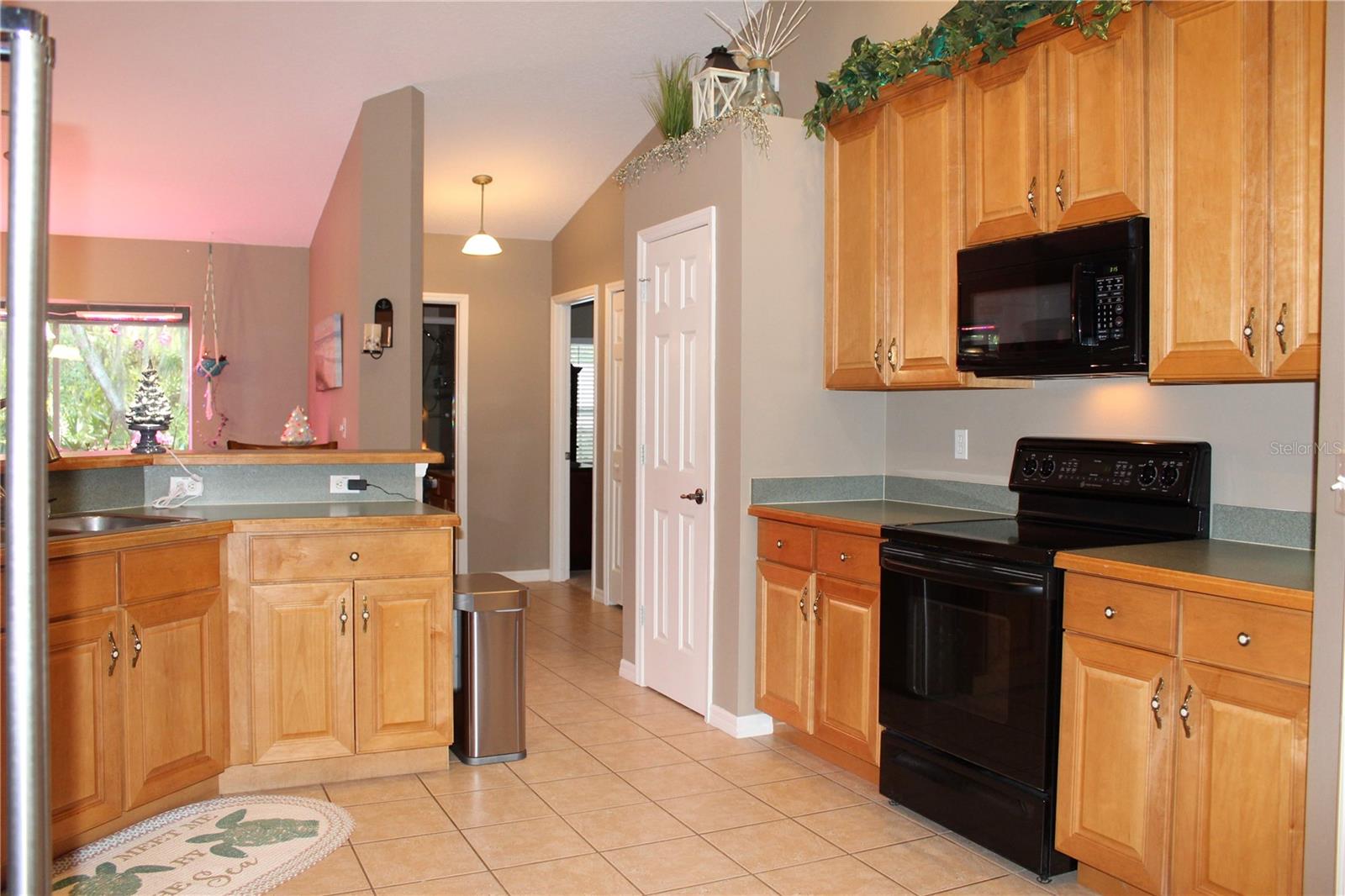 15210 WILLOW LN, TAVARES, FL, 32778